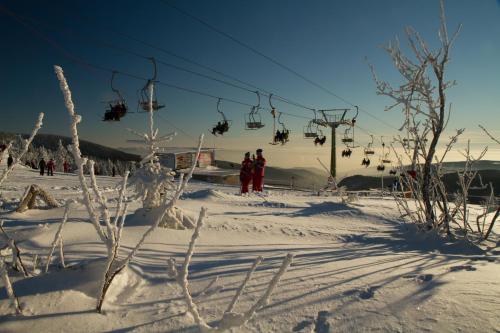 This photo about Penzion Sport Abertamy shared on HyHotel.com