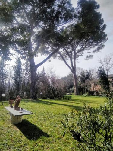 Garden, DOMUS AUGUSTI in Trecastelli Garden, DOMUS AUGUSTI in Trecastelli