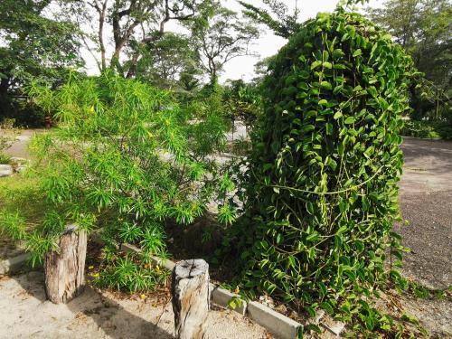 Happy Forest B&B in Katima Mullo Happy Forest B&B in Katima Mullo