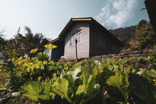 Exterior view, NotOnMap - Tarjimmo Homestay in Mangan Exterior view, NotOnMap - Tarjimmo Homestay in Mangan