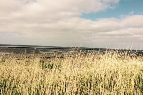 Ferienwohnung Nr. 2 - Düne