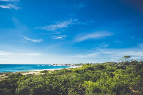 해변, 서프 앤 선 - 아루감베이 게스트하우스 (Surf n Sun - Arugambay Guesthouse) in 아루감 베이 해변, 서프 앤 선 - 아루감베이 게스트하우스 (Surf n Sun - Arugambay Guesthouse) in 아루감 베이