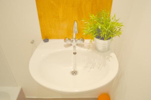 This photo about Synagogue View Guest House shared on HyHotel.com