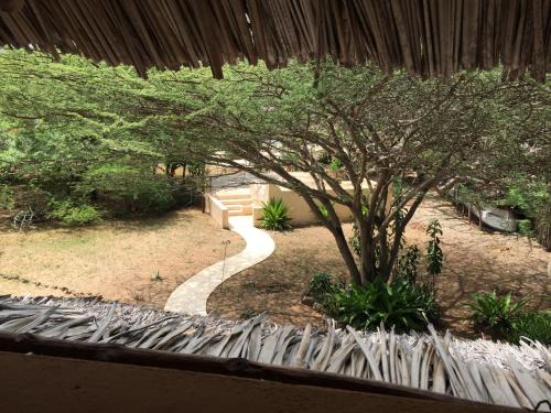 전망, Mangrove House in 라무 아일랜드 전망, Mangrove House in 라무 아일랜드