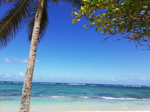 Appartement ideal famille, vue sur mer. in Le Moule Appartement ideal famille, vue sur mer. in Le Moule