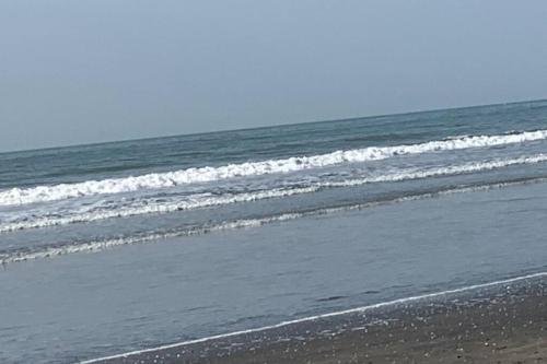 FOREST VIEW LUXURY APARTMENT in 3mins walk to beach pool view wifi in Brufut FOREST VIEW LUXURY APARTMENT in 3mins walk to beach pool view wifi in Brufut