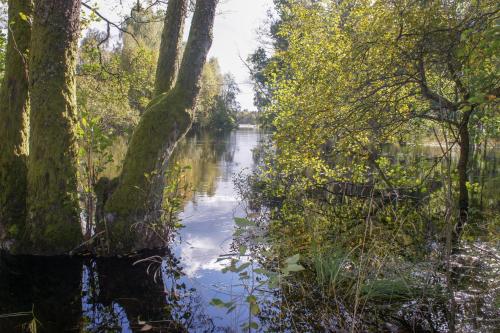 Kilátás, Hyltenäs am Kalvsee (Hyltenas am Kalvsee) in Kalv Kilátás, Hyltenäs am Kalvsee (Hyltenas am Kalvsee) in Kalv