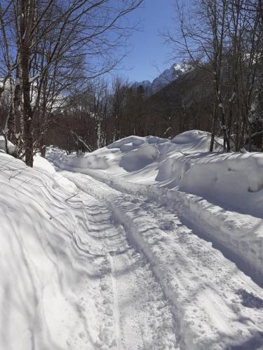 Лодж in Teberda Лодж in Teberda