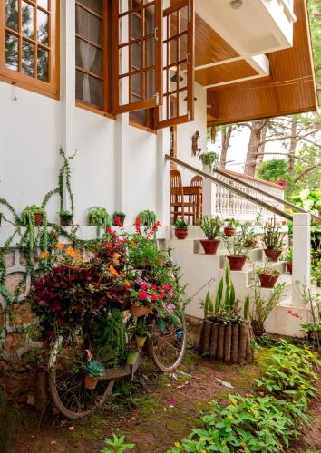 Hillock Villa in Kalaw Hillock Villa in Kalaw