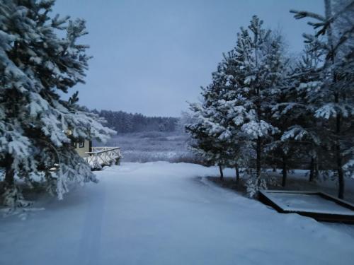 Guest House Elena in Novyye Yel'tsy Guest House Elena in Novyye Yel'tsy