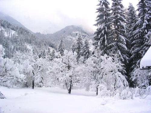 This photo about Haus zur Klamm shared on HyHotel.com