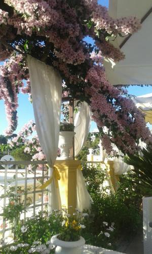 This photo about Villa Mimosa resort shared on HyHotel.com