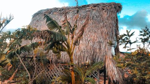 GuaiGüí Bayahibe (GuaiGui Bayahibe) in บายาไฮบ์ GuaiGüí Bayahibe (GuaiGui Bayahibe) in บายาไฮบ์