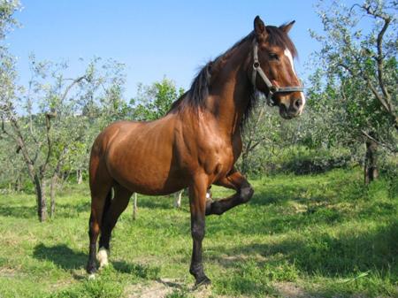 This photo about Al Podere Le Cave shared on HyHotel.com