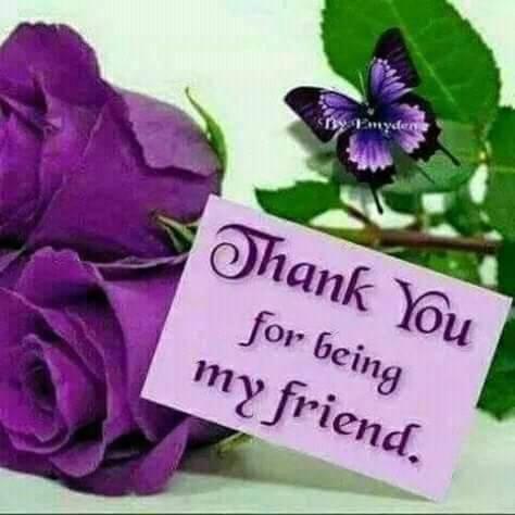 This photo about Rena Akasha Establishments shared on HyHotel.com