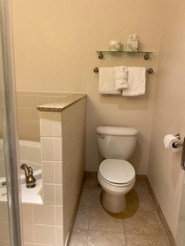 Bathroom, A Riverside Inn Travelodge by Wyndham in Fairplay (CO) Bathroom, A Riverside Inn Travelodge by Wyndham in Fairplay (CO)