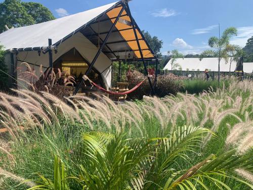 สวน, มองต์บลังค์ แกลมปิ้ง เขาใหญ่ (Mont Blanc Glamping Khao Yai) in เขาใหญ่ สวน, มองต์บลังค์ แกลมปิ้ง เขาใหญ่ (Mont Blanc Glamping Khao Yai) in เขาใหญ่