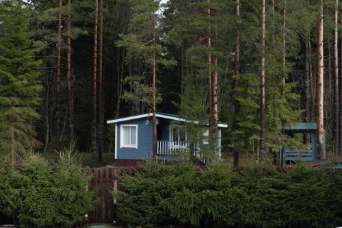 Surrounding environment, Коттеджи Иванова Дача in Orekhovo Surrounding environment, Коттеджи Иванова Дача in Orekhovo