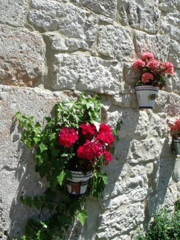 This photo about Hotel Rural Papasol shared on HyHotel.com