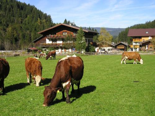 This photo about Winklhutte shared on HyHotel.com