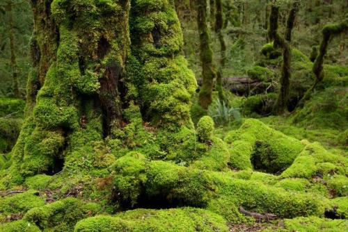 This photo about Orchid Haven shared on HyHotel.com