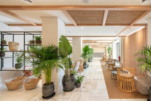 ล็อบบี้, Hotel Eden Nord Soller in ปอร์ต เด ซอเยอร์ ล็อบบี้, Hotel Eden Nord Soller in ปอร์ต เด ซอเยอร์