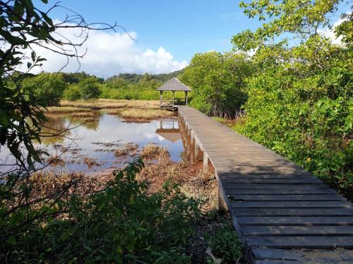 Programlehetőségek, Ma Chambre d’Hôte (Ma Chambre d’Hote) in Remire-Montjoly Programlehetőségek, Ma Chambre d’Hôte (Ma Chambre d’Hote) in Remire-Montjoly
