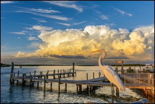 Whispers Resort Condos
Whispers Resort Condos