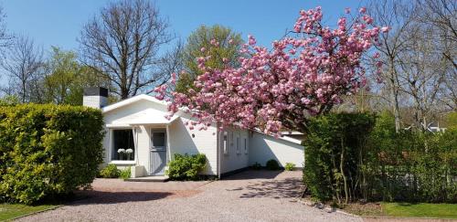 Entrada, Holiday Park Dennenbos in Oostkapelle Entrada, Holiday Park Dennenbos in Oostkapelle