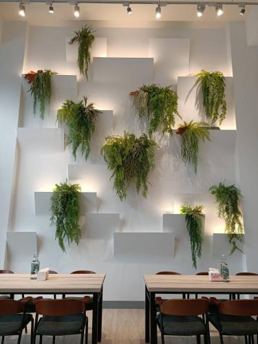 מסעדה, Meet Secret B&B in פינגטונג מסעדה, Meet Secret B&B in פינגטונג