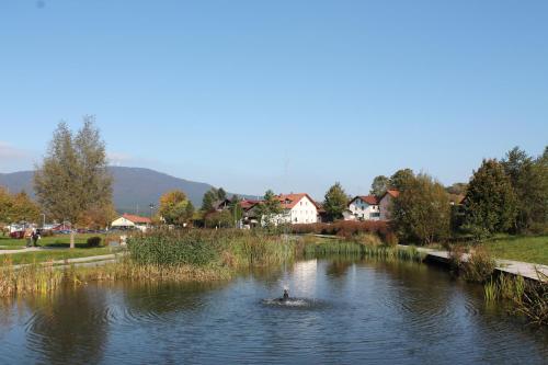 Surrounding environment, Gastehaus Fidelis in Grafenwiesen Surrounding environment, Gastehaus Fidelis in Grafenwiesen