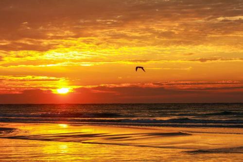 在meiguo.com看到的704 Marisol的介绍图片