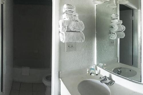 Bathroom, Micanopy Inn Micanopy in Micanopy (FL) Bathroom, Micanopy Inn Micanopy in Micanopy (FL)