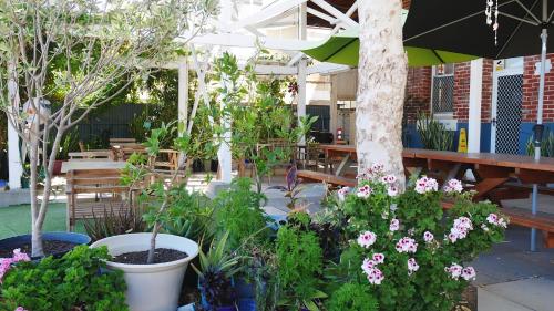 設施, Geraldton Backpackers in 傑拉爾頓 設施, Geraldton Backpackers in 傑拉爾頓