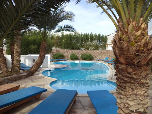 בריכת שחיה, Dahab Divers in דהב בריכת שחיה, Dahab Divers in דהב