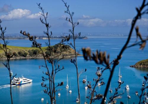 Surrounding environment, Kiwi House Waiheke in Oneroa Surrounding environment, Kiwi House Waiheke in Oneroa