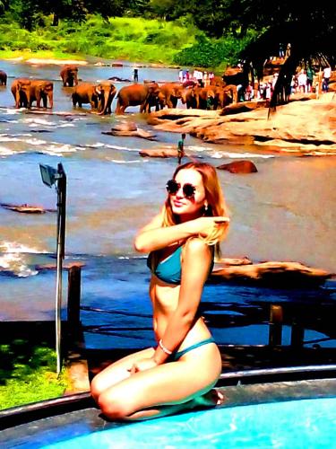 호텔 엘리펀트 베이 (Hotel Elephant Bay) in 핀나왈라 호텔 엘리펀트 베이 (Hotel Elephant Bay) in 핀나왈라