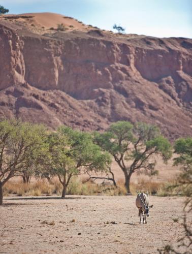 הסביבה הקרובה, Namib Desert Campsite in סוליטר הסביבה הקרובה, Namib Desert Campsite in סוליטר