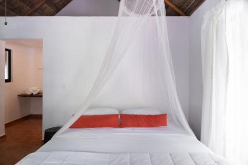 This photo about Capital O Ecovergel Hotel Riviera Maya shared on HyHotel.com