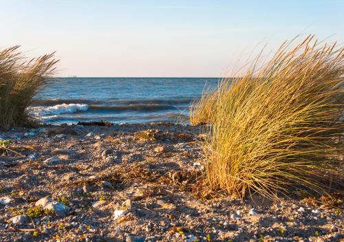 Beach, LINDENHOF Hotel Garni in Fehmarn Beach, LINDENHOF Hotel Garni in Fehmarn
