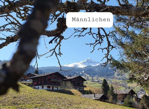 Alrededores, Chalet Wargistal in Grindelwald Suburbs Alrededores, Chalet Wargistal in Grindelwald Suburbs