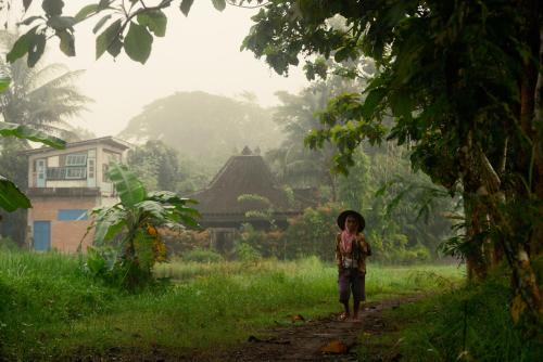 Omah minggir in Sendangagung Omah minggir in Sendangagung