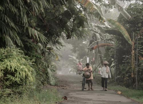 Omah minggir in Sendangagung Omah minggir in Sendangagung