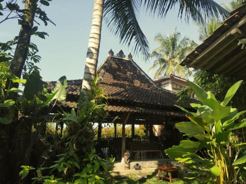 Omah minggir in Sendangagung Omah minggir in Sendangagung