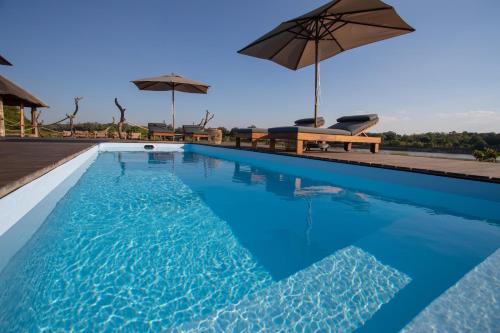 สระว่ายน้ำ, Chikunto Safari Lodge in เซาท์ ลวงวา เนชั่นแนล พาร์ค สระว่ายน้ำ, Chikunto Safari Lodge in เซาท์ ลวงวา เนชั่นแนล พาร์ค