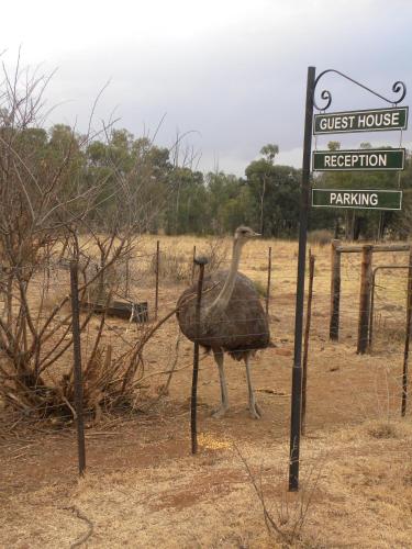 Olive Hill Country Lodge in Bloemfontein Olive Hill Country Lodge in Bloemfontein