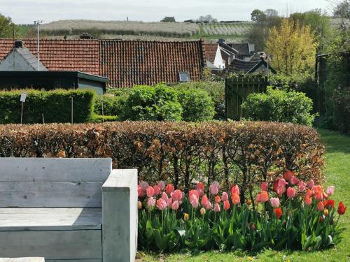 Bed en Breakfast Hof van Wolder in Wolder Bed en Breakfast Hof van Wolder in Wolder