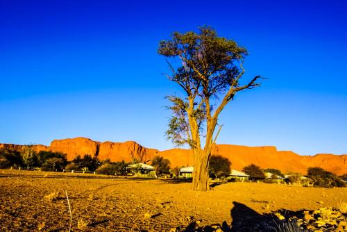 Навколишнє середовище, Namib Desert Campsite in Solitaire Навколишнє середовище, Namib Desert Campsite in Solitaire