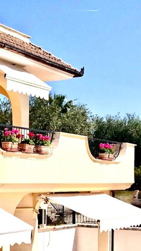 B&B Santa Lucia in Manfredonia Town Center B&B Santa Lucia in Manfredonia Town Center