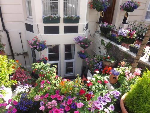 This photo about The Rosita shared on HyHotel.com